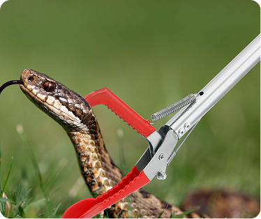 Tập huấn Sơ cấp cứu tai nạn rắn cắn #3