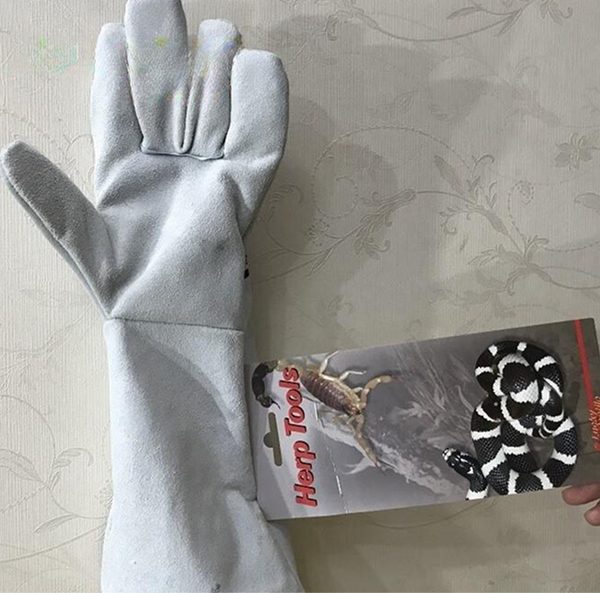 Móc Rắn Titanium Tiêu Chuẩn #2