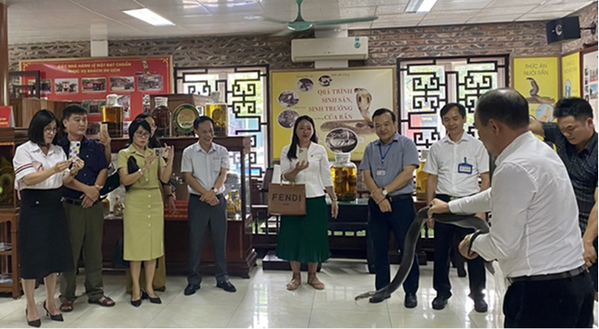 Tập huấn Sơ cấp cứu tai nạn rắn cắn #3